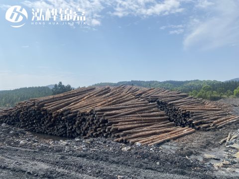 河道打樁為什么選擇松木樁來處理軟地基？-松木樁施工使用范圍